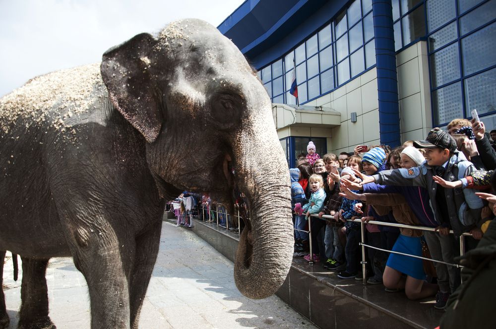 Photograph by Вадим Шаров