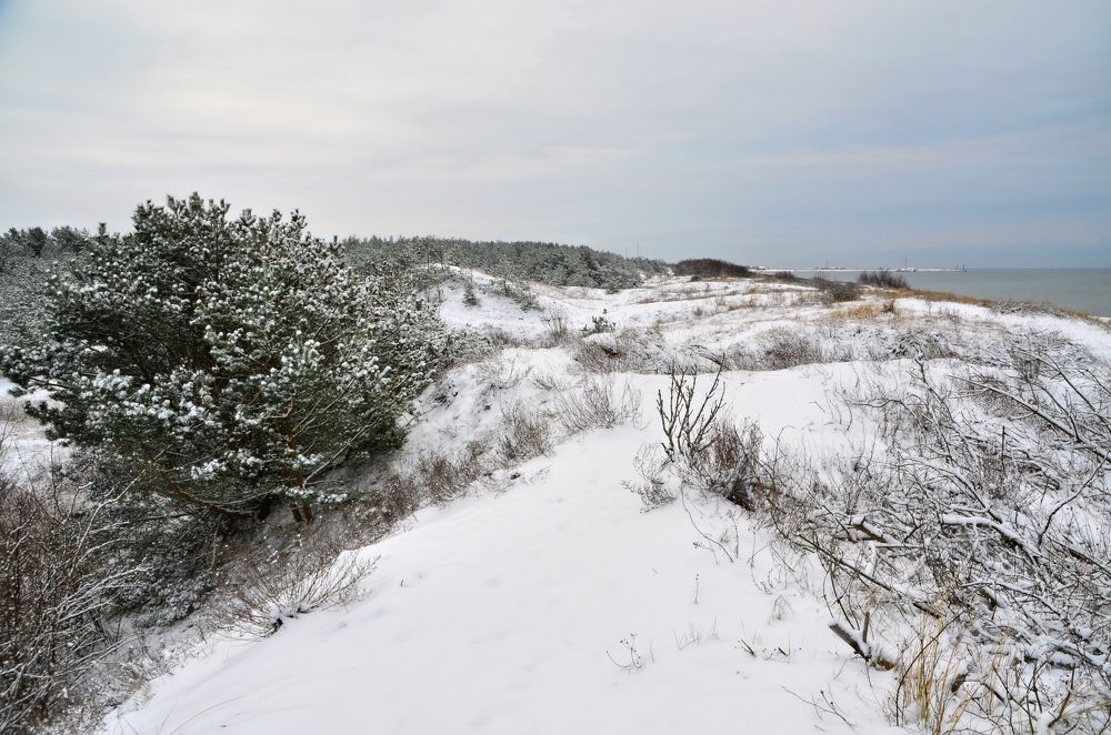 Photograph by Galina Baranovskaja