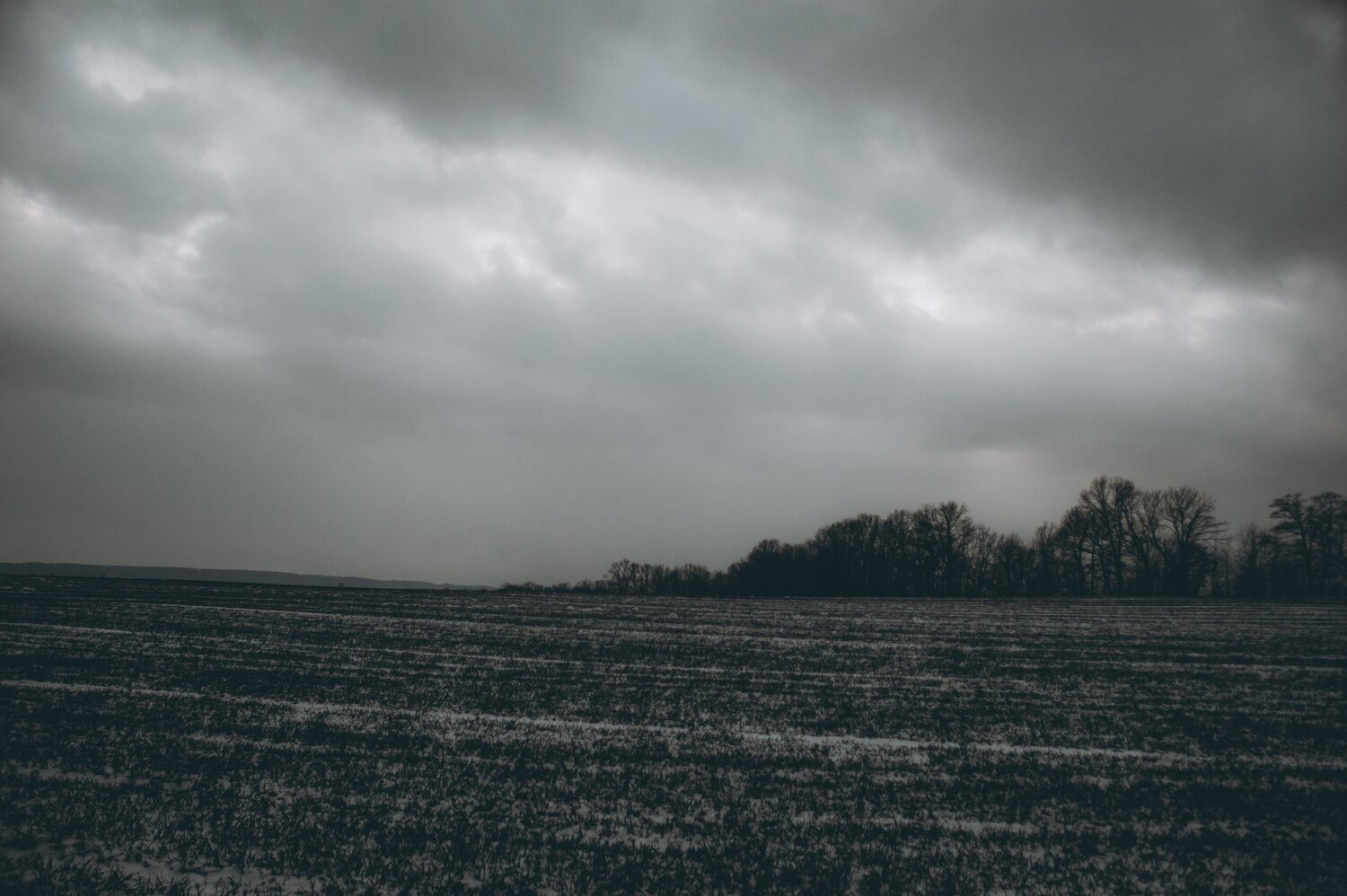 Photo #5578617