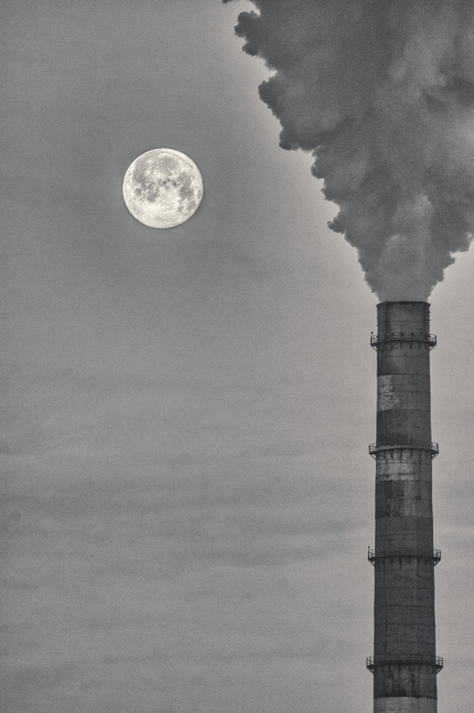 Photograph by Сердюков Вадим