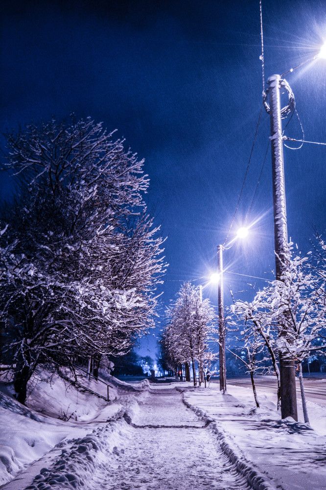 Фотография автора Оля Алехнович