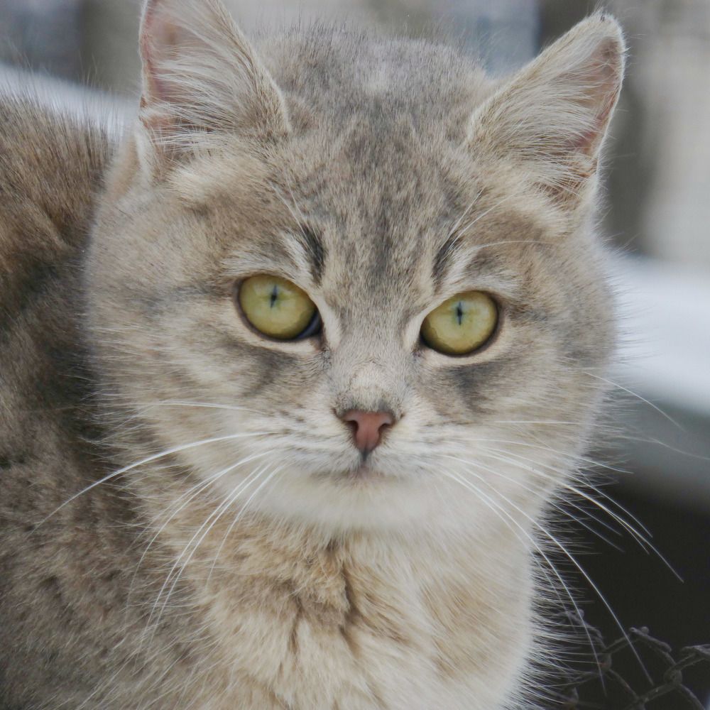 Photograph by Светлана Кондрашова