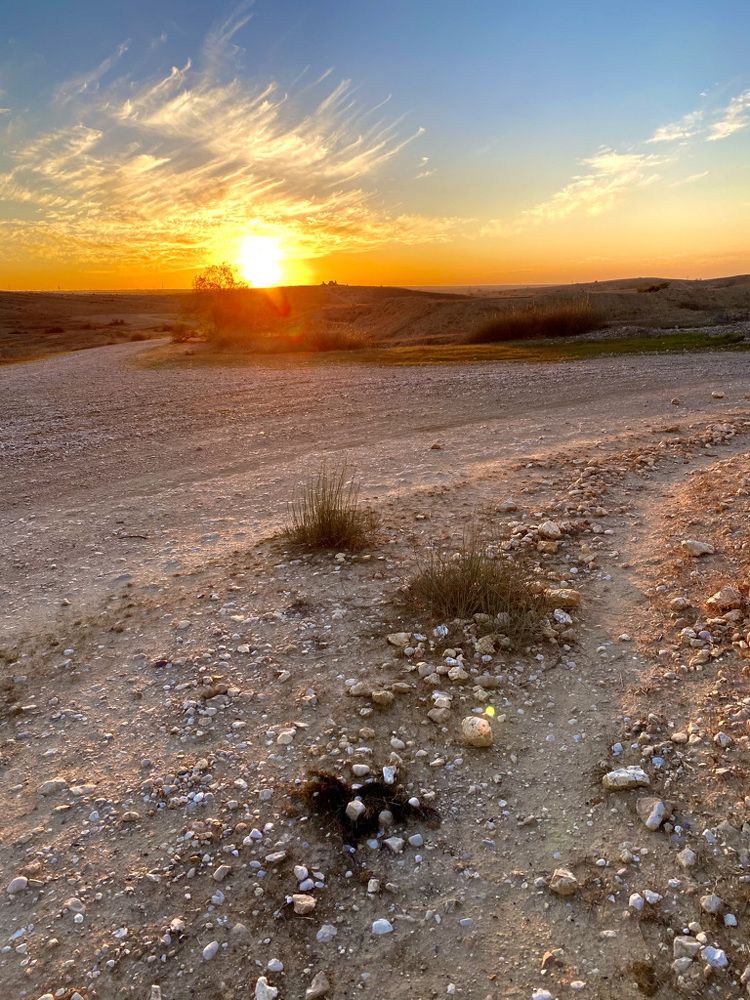 Photograph by Александр Ляндрес