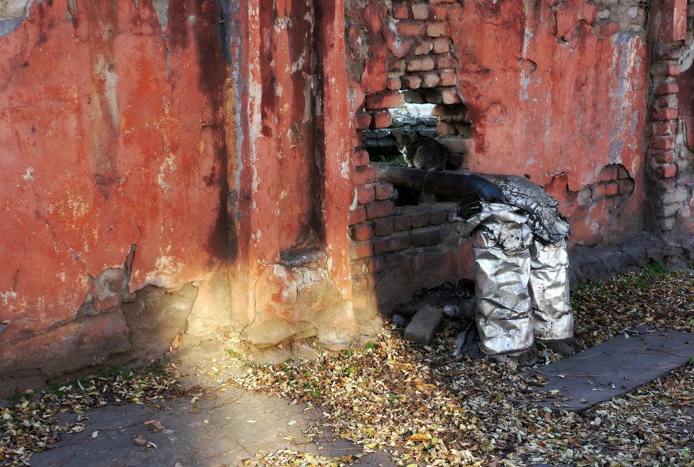 Фотография автора Светлана Груньковская