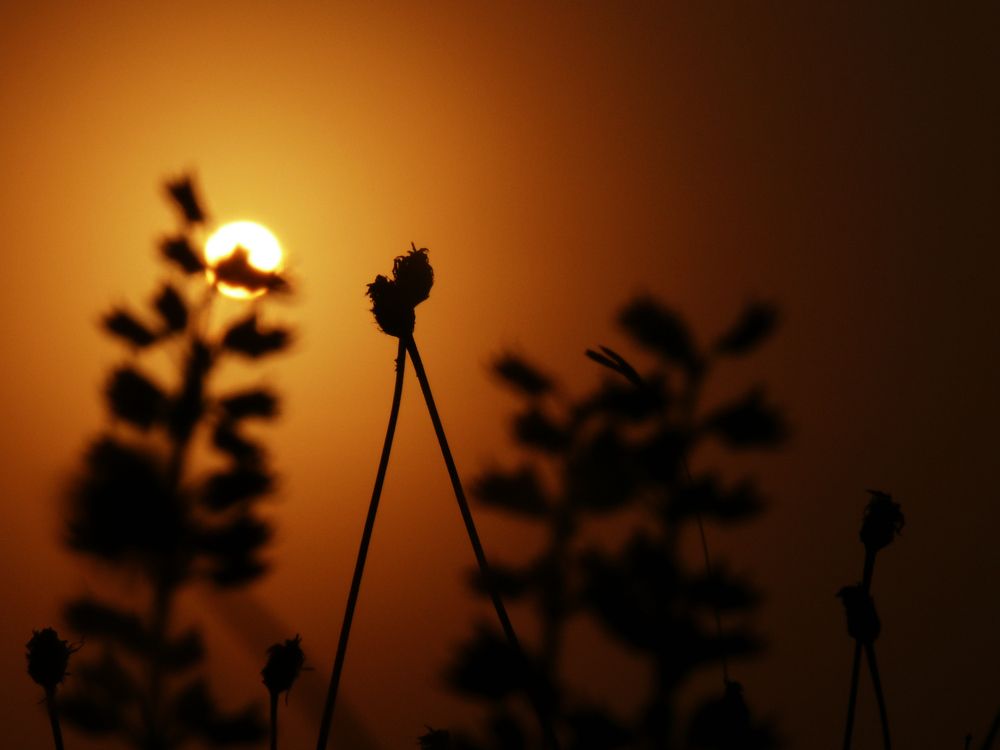 Photograph by Василий
