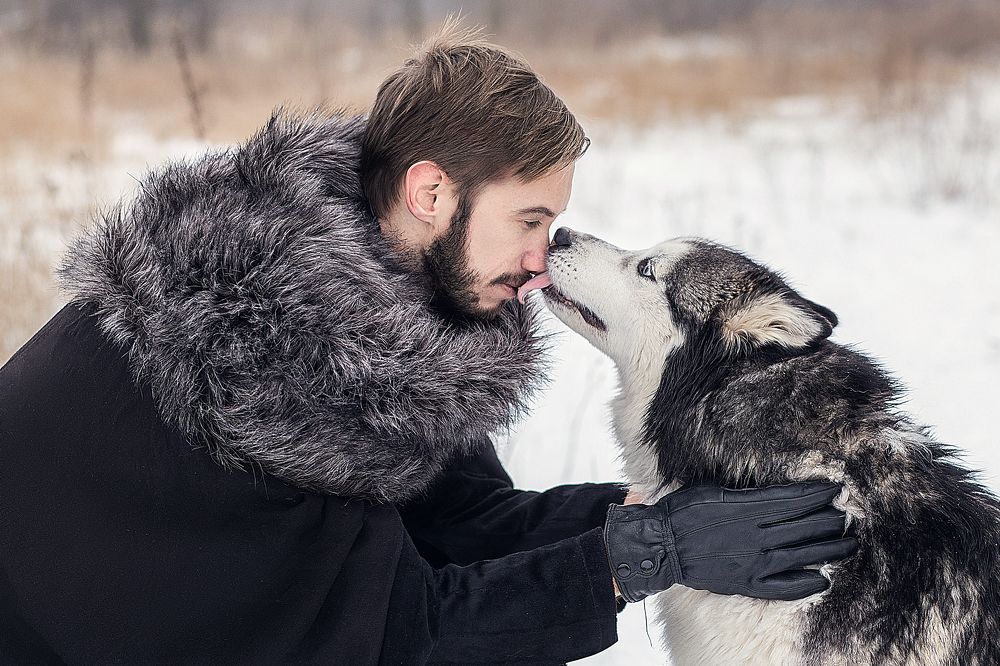 Photograph by Александра Меньшенина