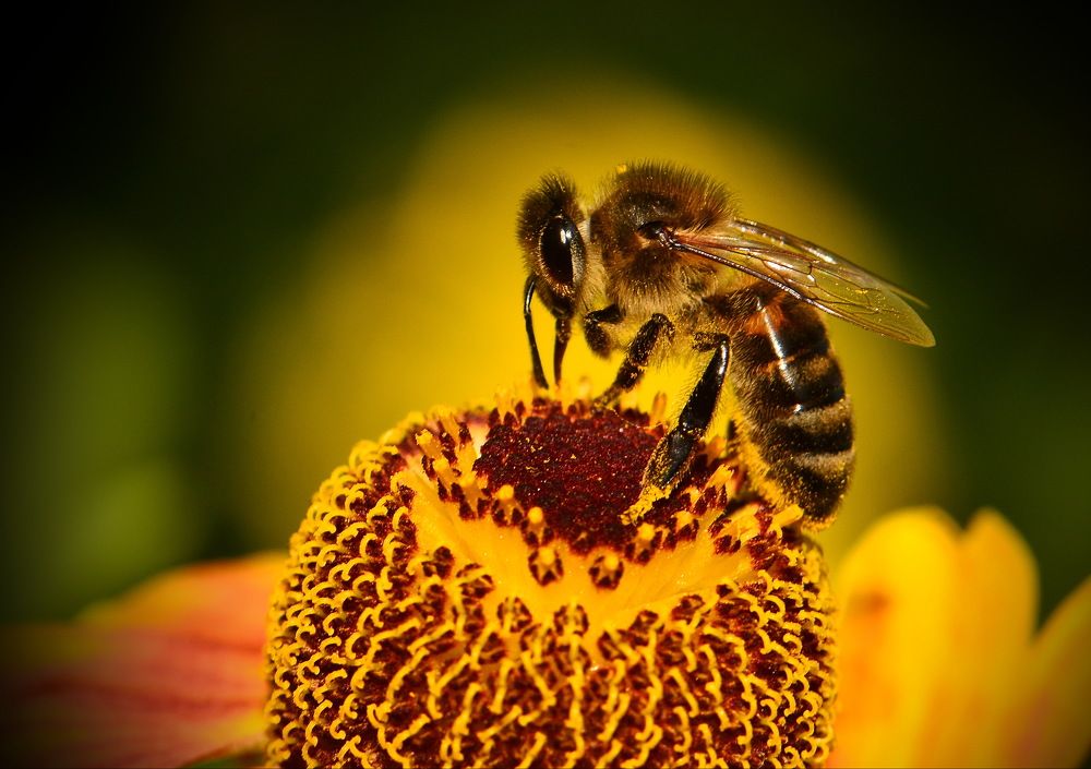 За работой.