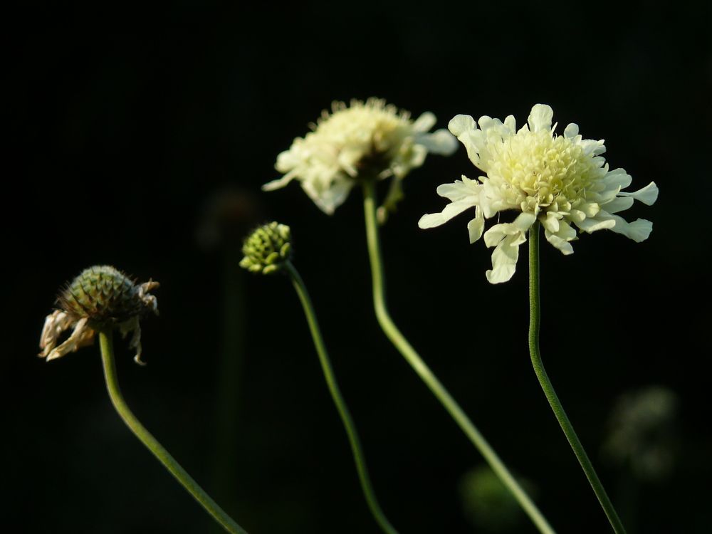 Photograph by Василий