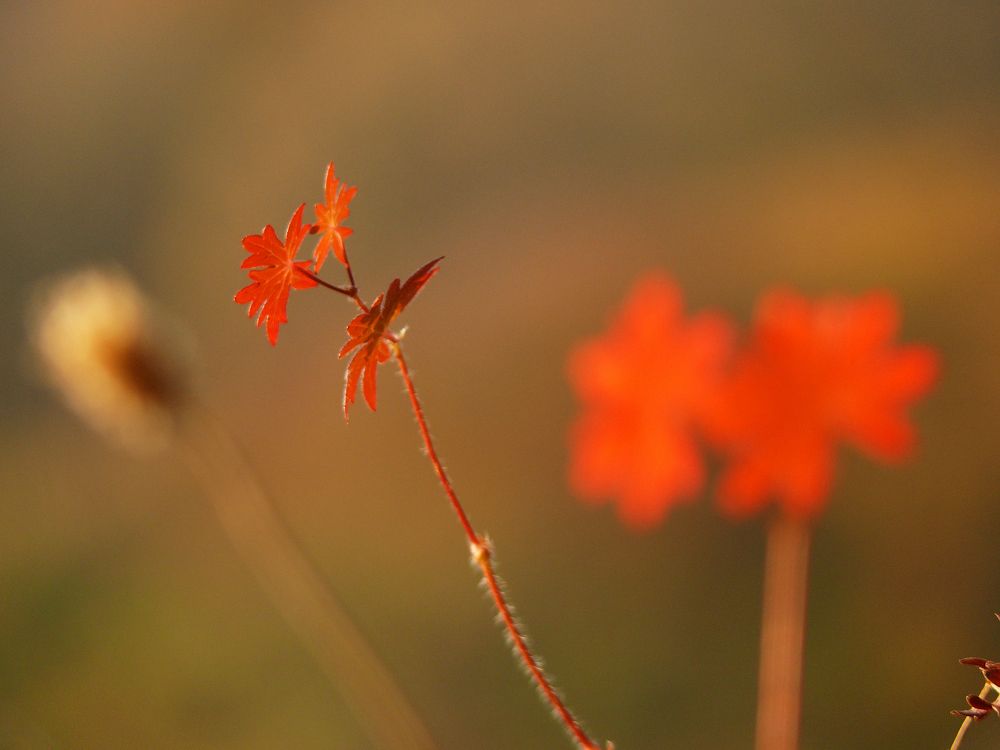 Photograph by Василий