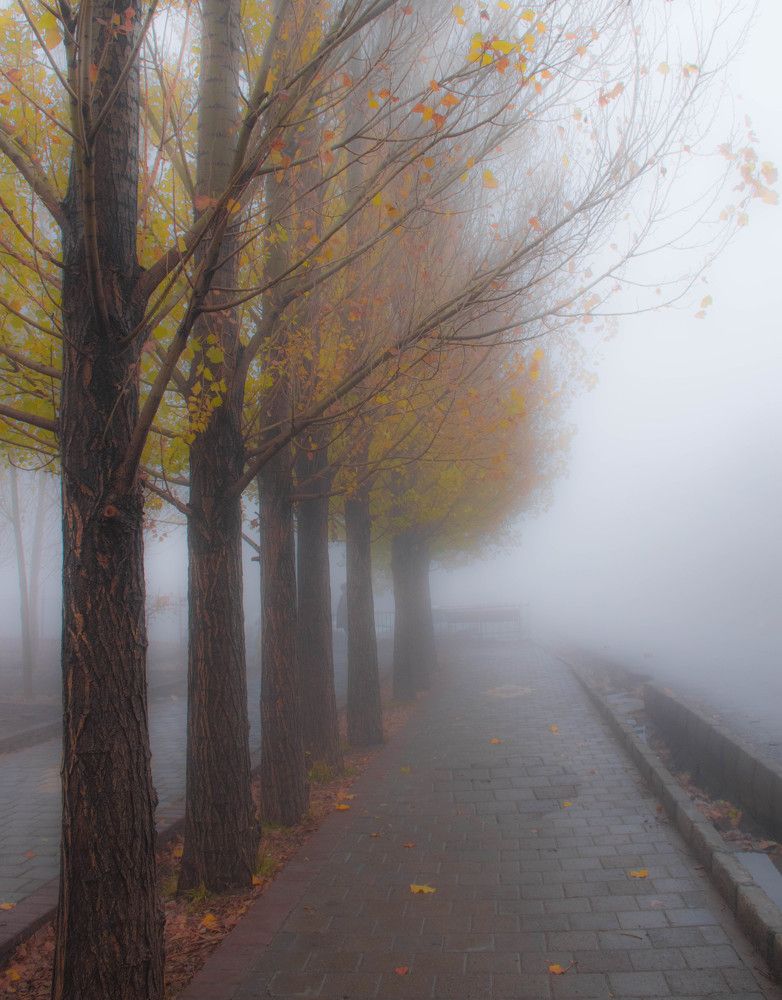 Photograph by Elham Khanpour