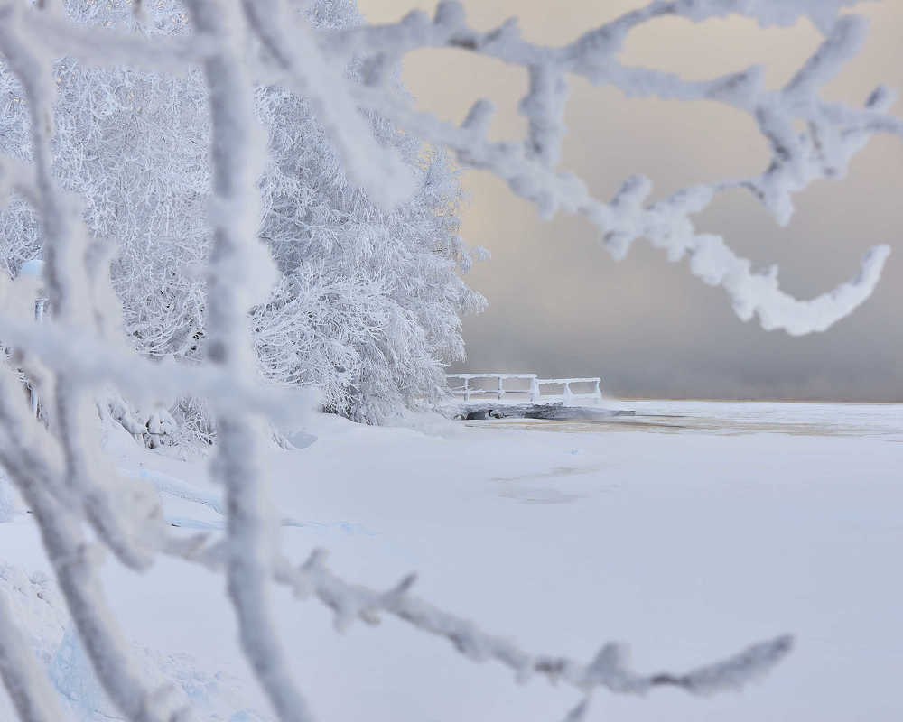 Photograph by Андрей Медведев