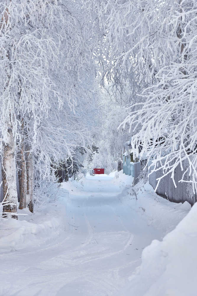 Photograph by Андрей Медведев