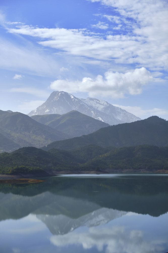 Photograph by Zakaria HADDAD