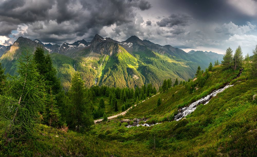 Photograph by Jakub Perlikowski