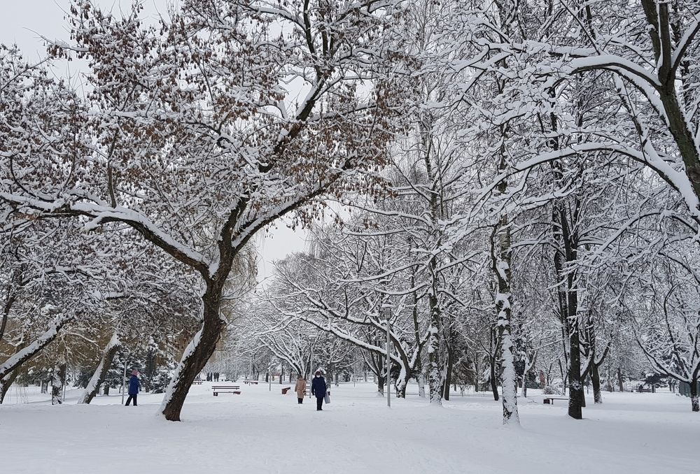 Photograph by Ivan Karavka