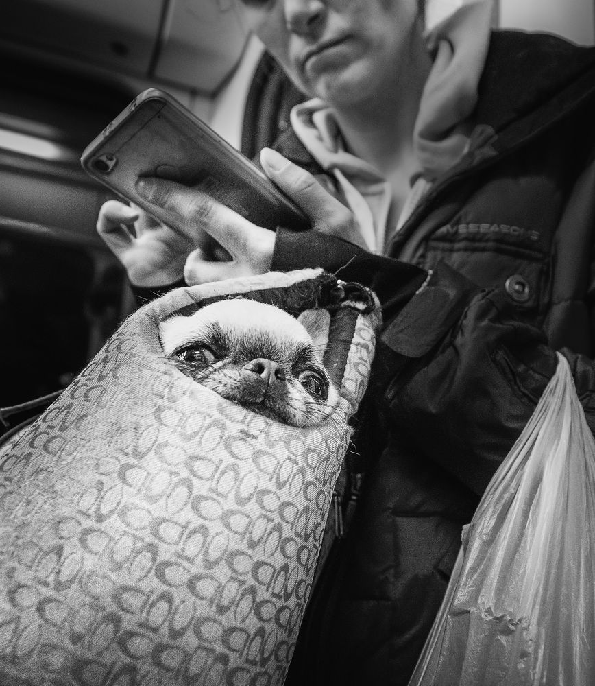 Photograph by Евгений Луцко