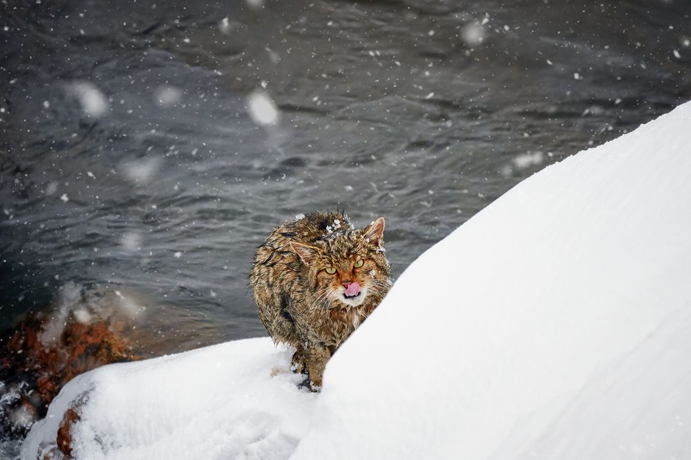 Photograph by Ignacio Municio