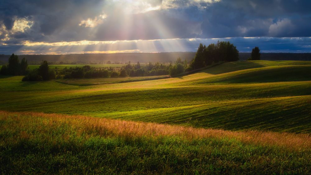 Photograph by Евгений Луцко