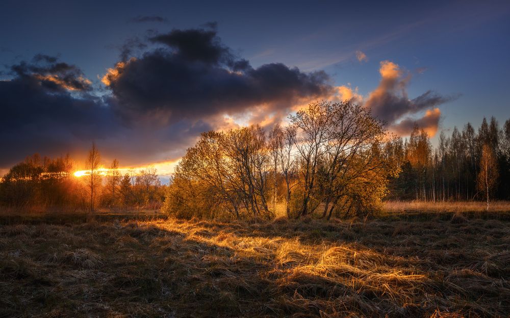 Photograph by Евгений Луцко
