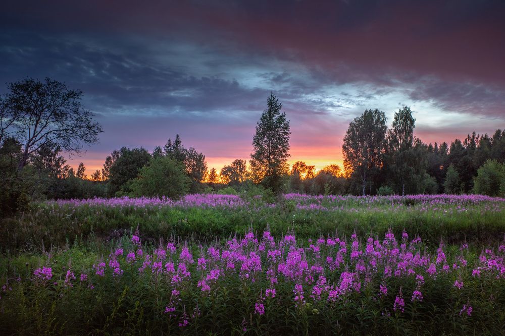 Photograph by Евгений Луцко