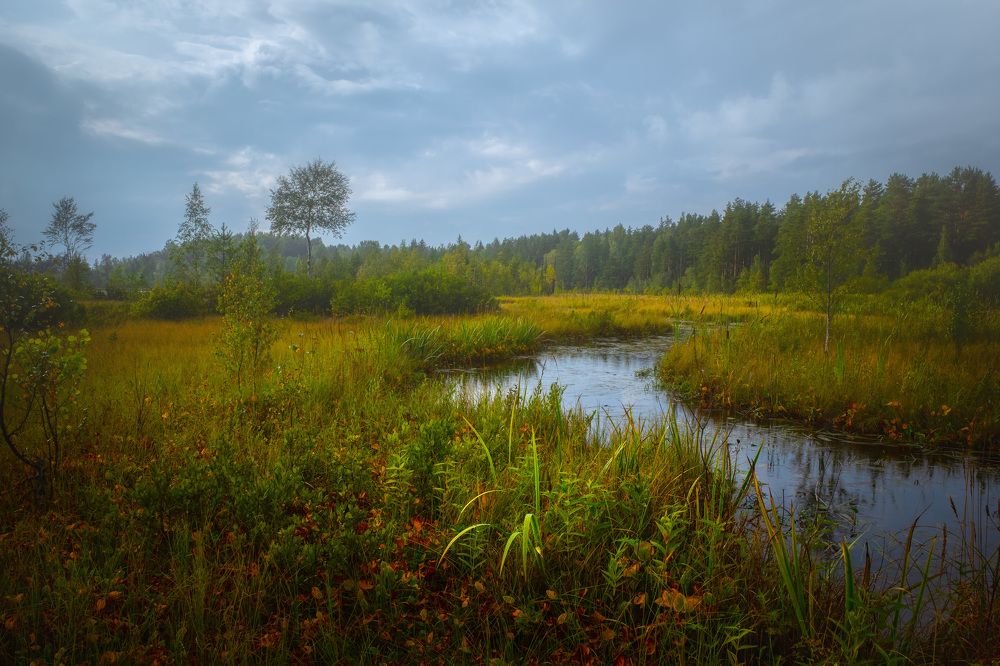 Photograph by Евгений Луцко