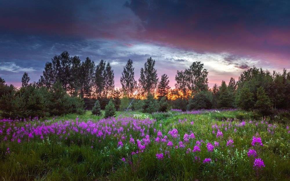 Photograph by Евгений Луцко