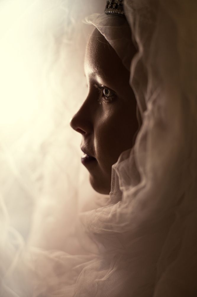 Фотография автора Юлия Малютина