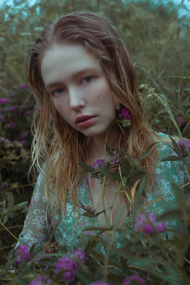 Фотография автора Денис Котов