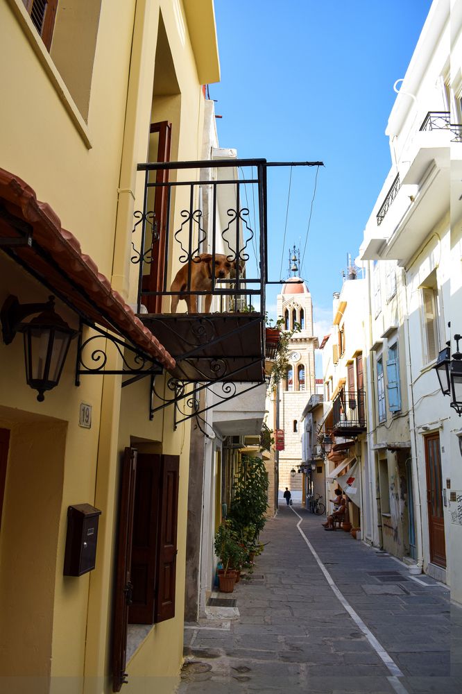 Photograph by Елена Вертегова