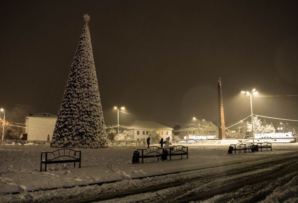 Photograph by Елена Плотникова