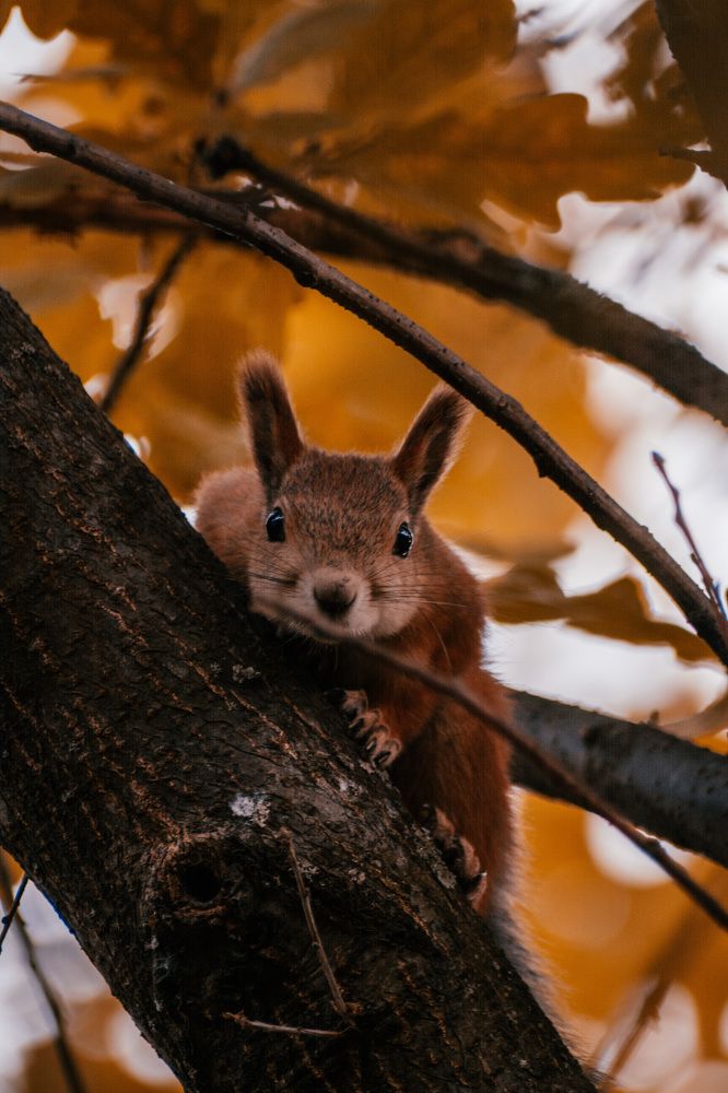 Photograph by Альбина Баташова