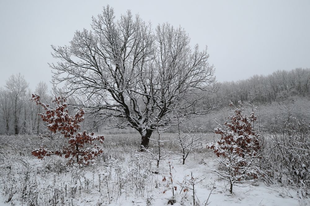 Прошлое в настоящем
