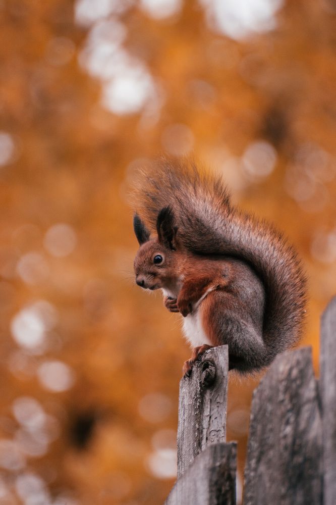 Photograph by Альбина Баташова