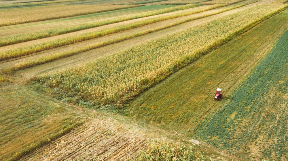 Photograph by Vahan Amatunyan