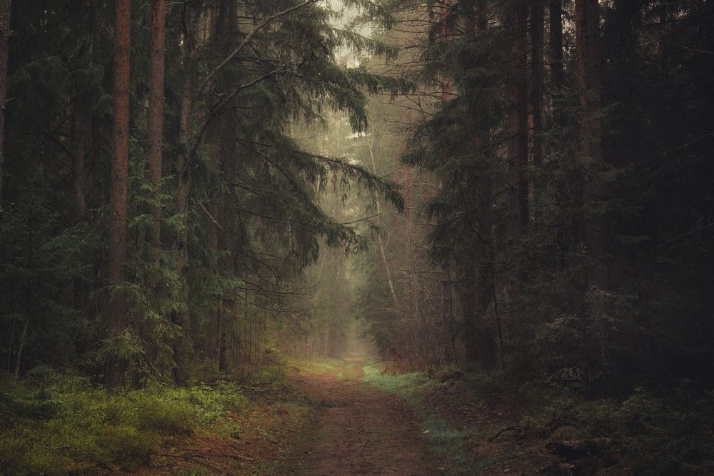 Photograph by Vladimir Golubev