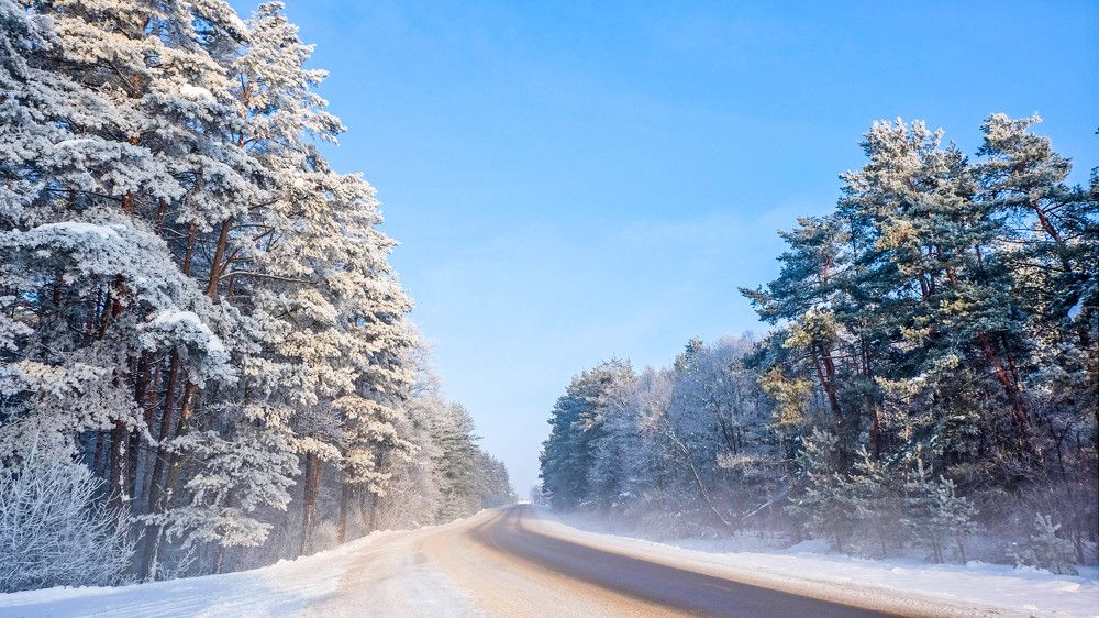 Фотография автора Александр Буренко