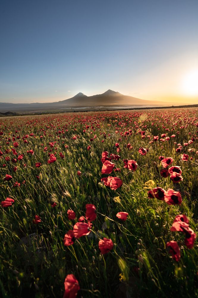 Photograph by Vahan Amatunyan