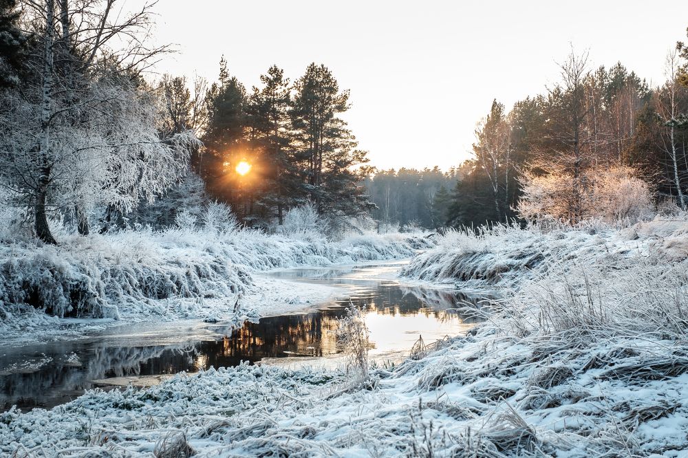 Photograph by Алексей Баженов