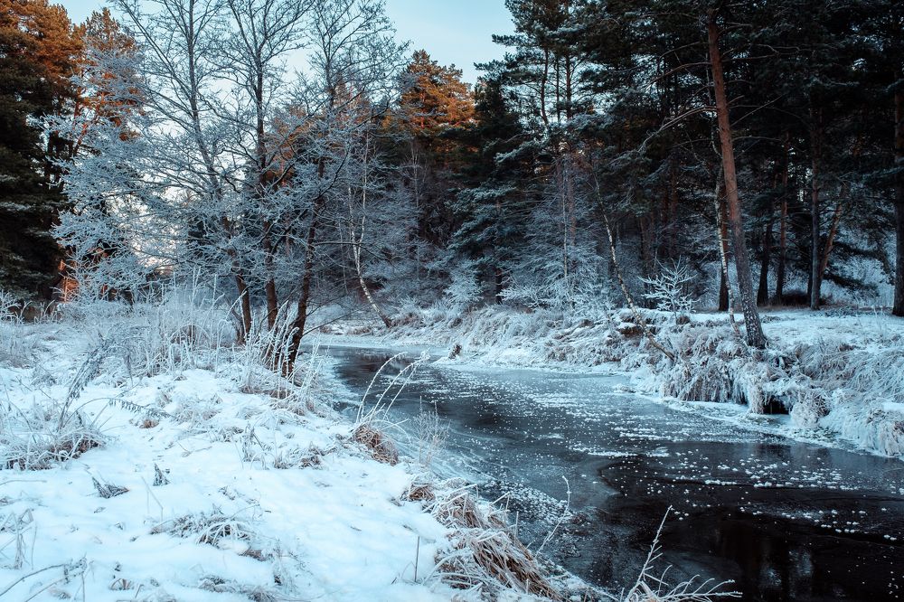 Photograph by Алексей Баженов