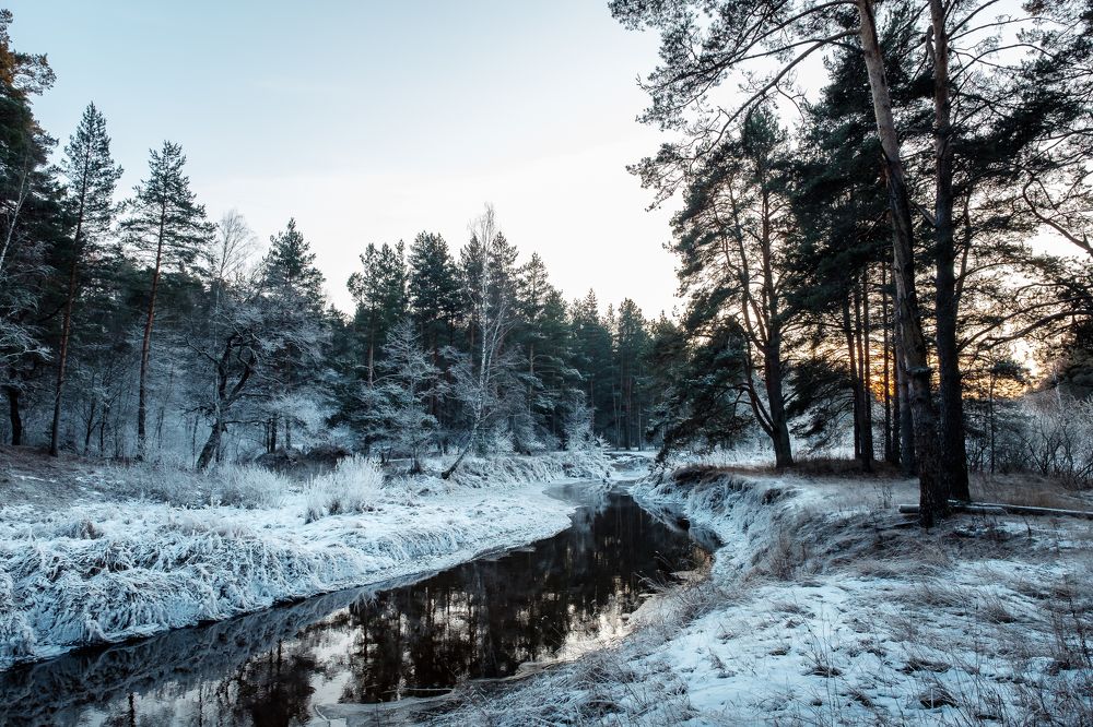 Photograph by Алексей Баженов