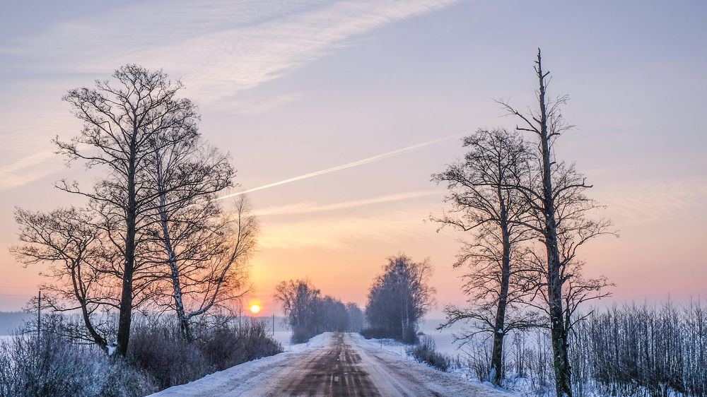 Фотография автора Александр Буренко