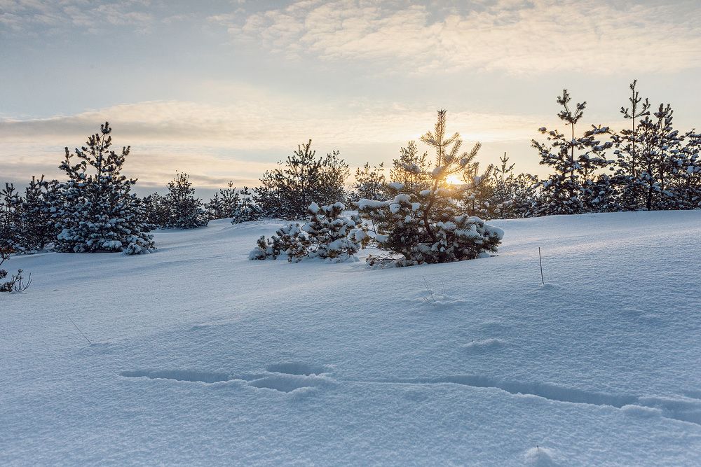 Photograph by Alexander Plaksin