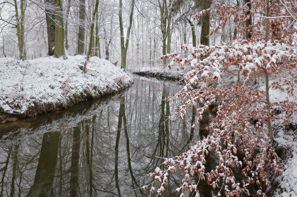 Photograph by Владимир Петрукович