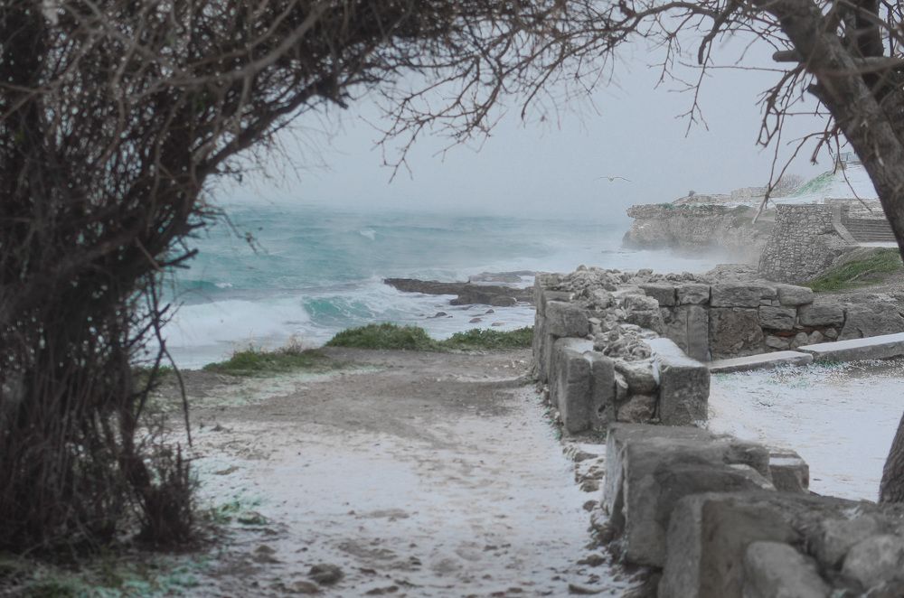 Photograph by Юлия Светленко