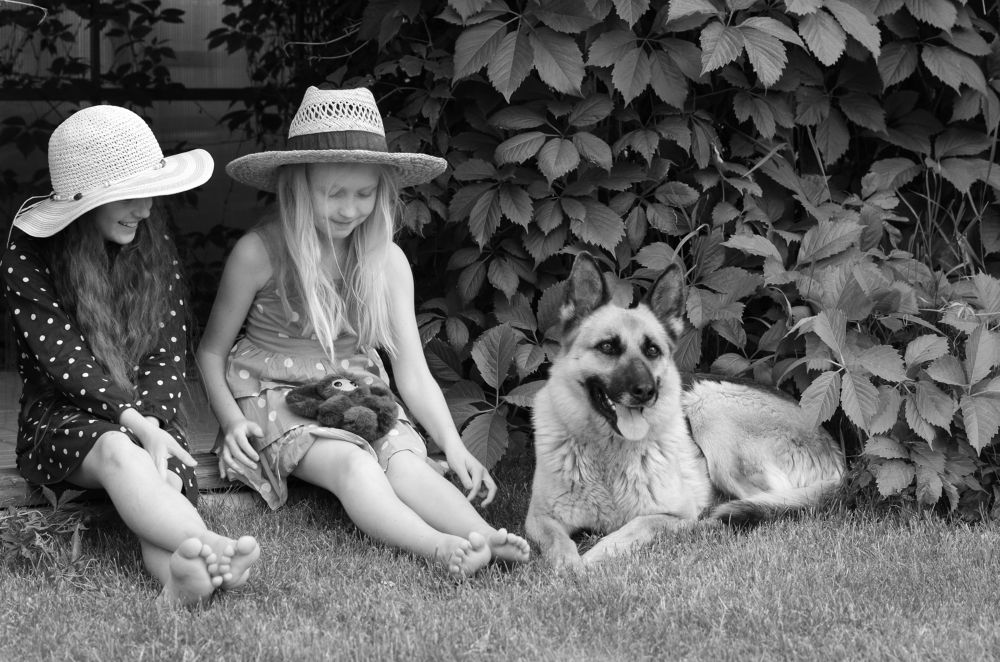 Фотография автора Марина Савчиц