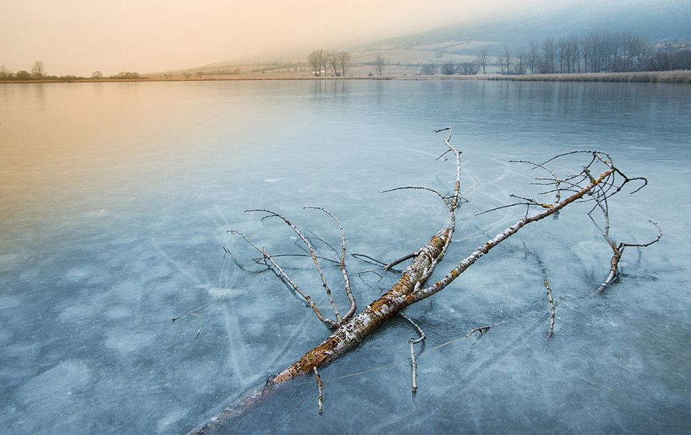 Photograph by Lubica Kremenova