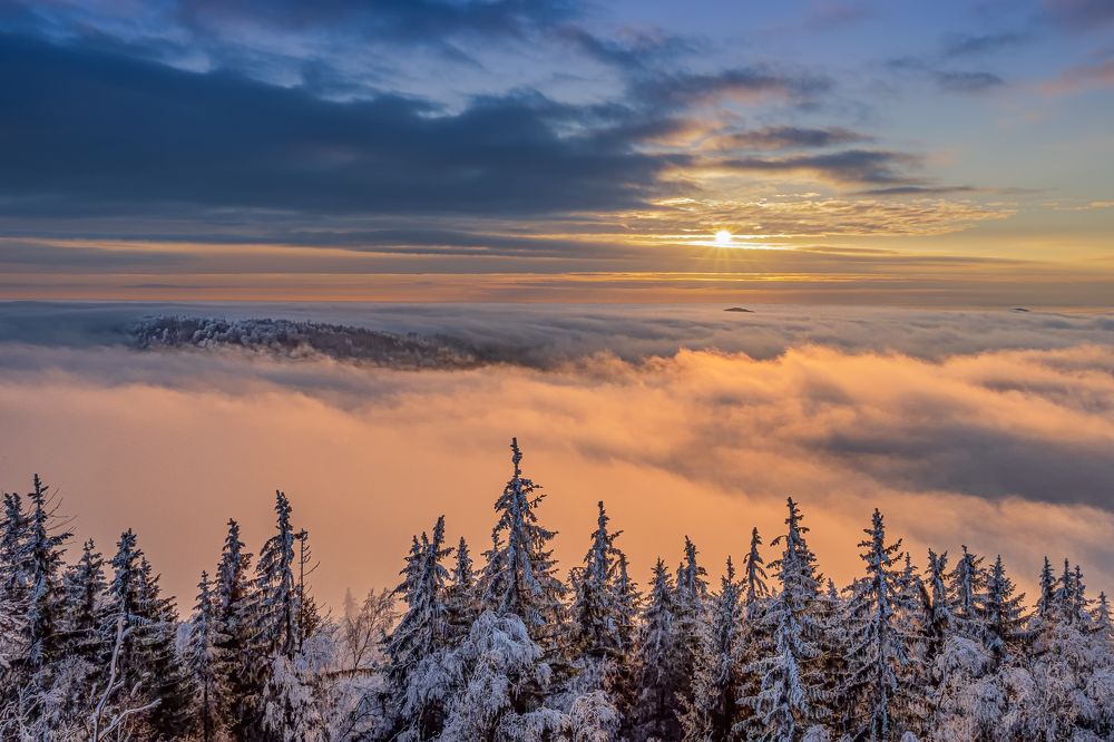 Photograph by Ilona Rosenkrancová