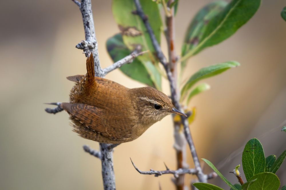 Photograph by Артем