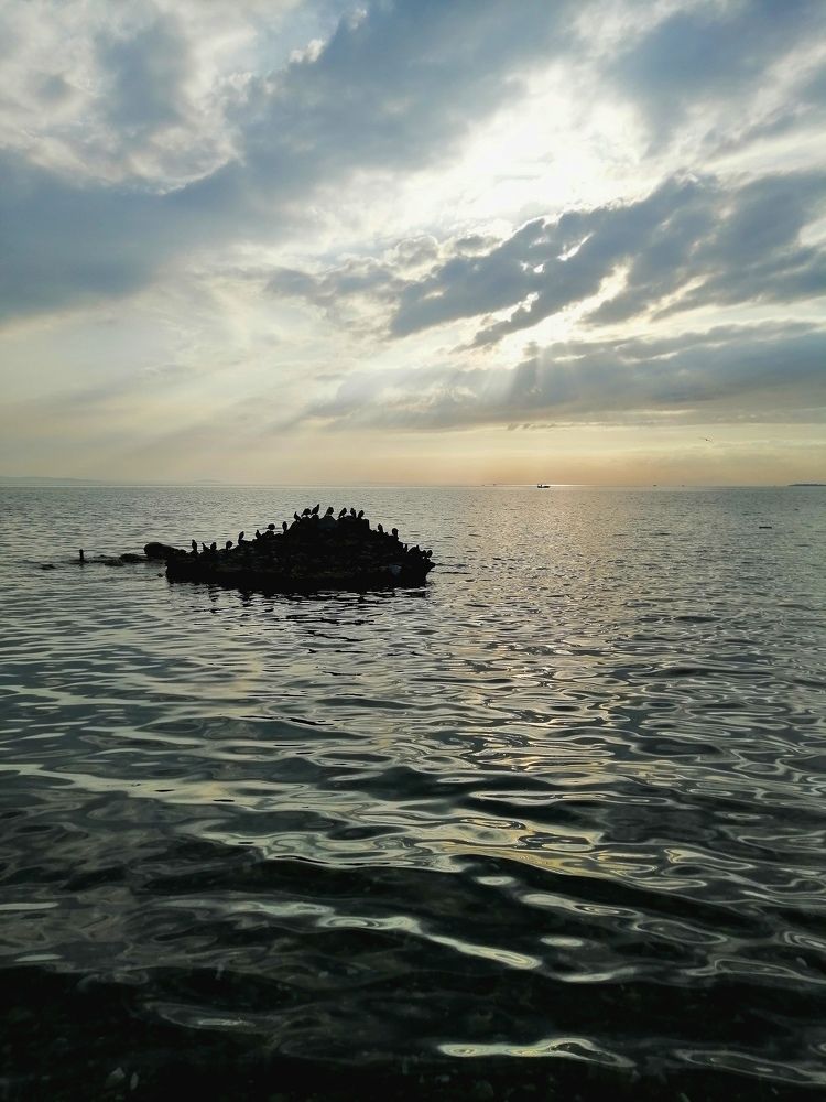 Photograph by Aliye Selchuk