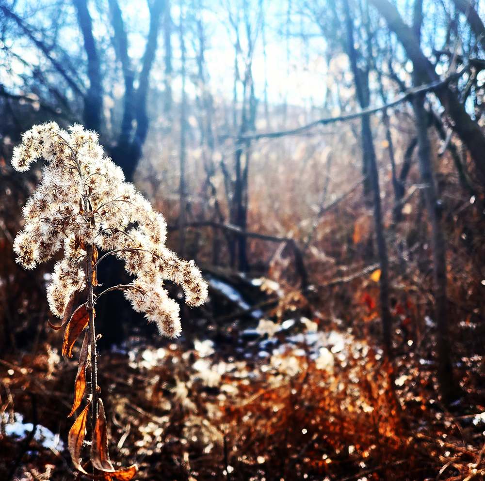 Photograph by Sharon Sabharwal